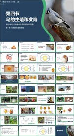 鸟的生殖和发育