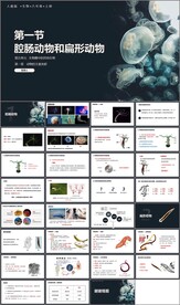 腔肠动物和扁形动物