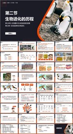 生物进化的历程