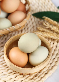 鸡蛋