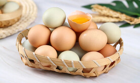 鸡蛋