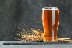 啤酒图片
