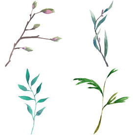 手绘叶子藤蔓  