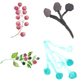 手绘浆果 