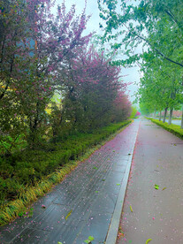 人间四月天 清明时节