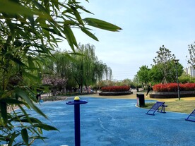 竹子蓝天白云公园一角