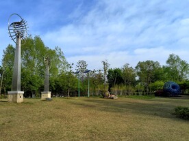 春天公园蓝天白云草地