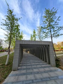 蓝天白云春天城市公园艺术长廊