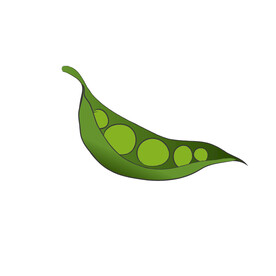 豌豆夹