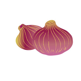 洋葱 