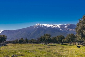 自然风光 自然界 大自然 野外