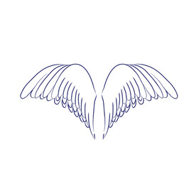 大翅膀 雄鹰翅膀  雄鹰 大鹏