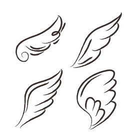 手绘翅膀  