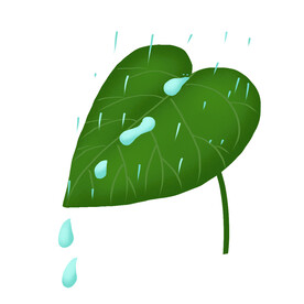 叶子雨水