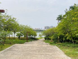 走道风景