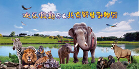 野生动物园 草原湖面