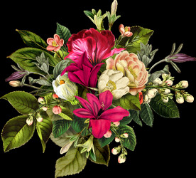 复古花卉png  