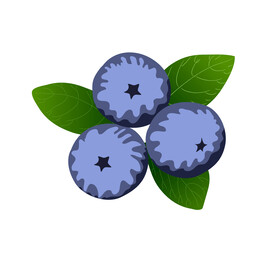蓝莓 