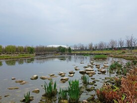 湖边石头滩风景