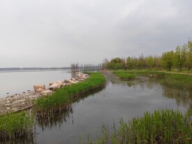 湿地公园湖边景色