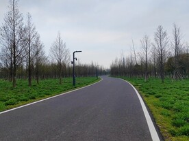 乡村沥青路弯道