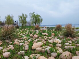 湖边石头堆景观