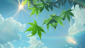 绿叶天空超清1080背景系壁纸