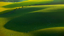 绿草地超清1080背景系壁纸
