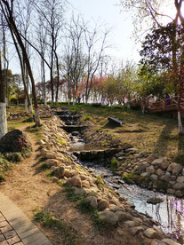  公园溪水风景