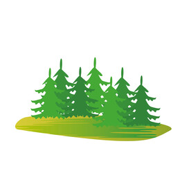 树林