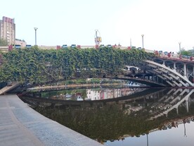 拱桥上的常春藤