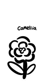 黑色花手机壳图案