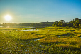 草地远山天空背景