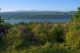 俄勒冈州哥伦比亚河峡谷