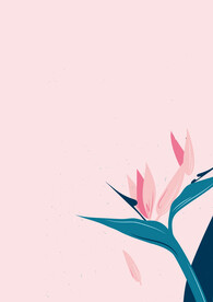 简约小清新植物背景模板