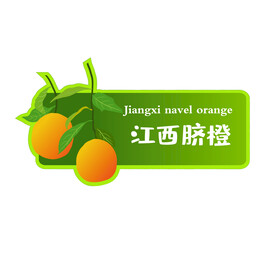  江西脐橙  