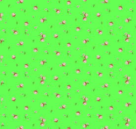 沙滩裤 泳衣 衣服印花 