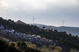 春暖花开之高山