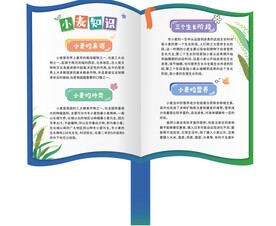 书本小草牌 知识牌