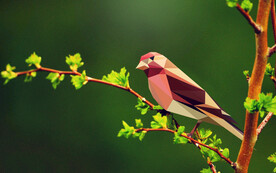 良禽择良木而栖