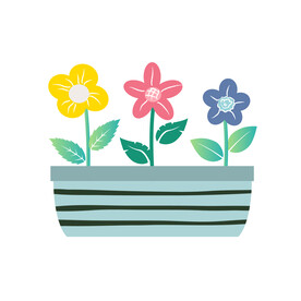 花卉盆栽
