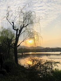 太子湾公园 