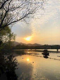 太子湾公园 樱花 假日 郁金香