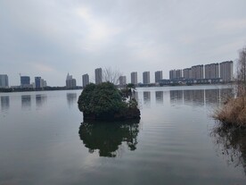 湖中小岛