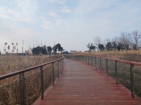 秋天公园景观步道