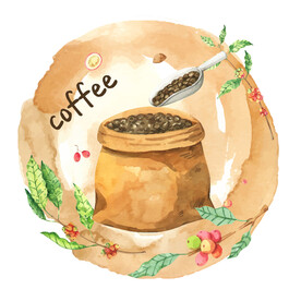 咖啡种植插画  