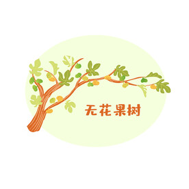 无花果树