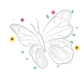 蝴蝶线稿 