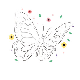 蝴蝶线稿 