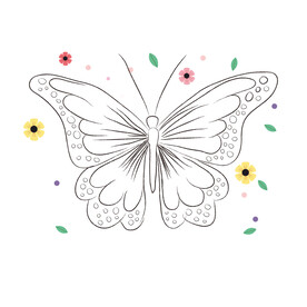 蝴蝶线稿